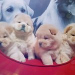 Миниатюра к 