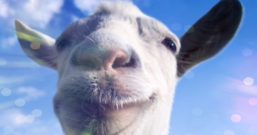 Почему возникает ложная беременность у коз?