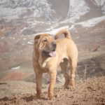 Миниатюра к