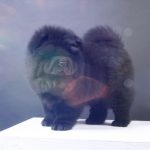 Миниатюра к 