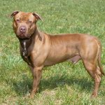 Миниатюра к 