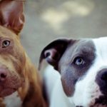 Миниатюра к 