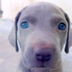 Миниатюра к