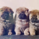 Миниатюра к 