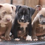 Миниатюра к 