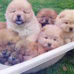 Миниатюра к 