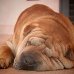 Миниатюра к