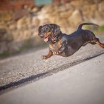 Миниатюра к