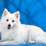 Миниатюра к 