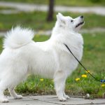 Миниатюра к 