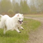 Миниатюра к 