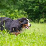 Миниатюра к 