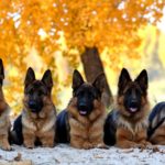 Миниатюра к 