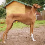 Миниатюра к