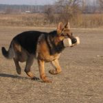 Миниатюра к 