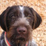 Миниатюра к 