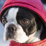 Миниатюра к 