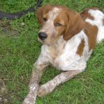 Миниатюра к