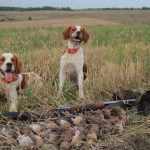 Миниатюра к