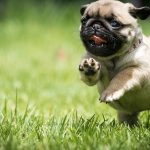 Миниатюра к