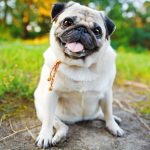 Миниатюра к