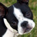 Миниатюра к 