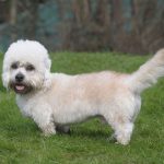 Миниатюра к 