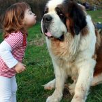 Миниатюра к