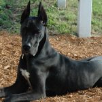 Миниатюра к 