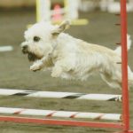 Миниатюра к 