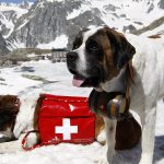 Миниатюра к