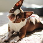 Миниатюра к 