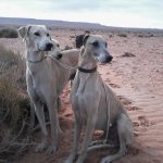 Миниатюра к