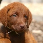 Миниатюра к 