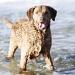 Миниатюра к 