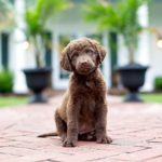 Миниатюра к 