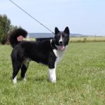 Миниатюра к