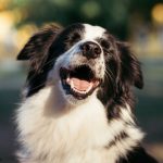 Миниатюра к 