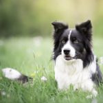 Миниатюра к 