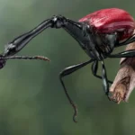 Миниатюра к