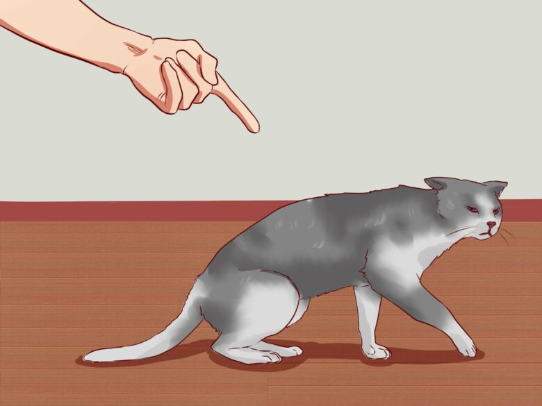 Как отучить кота метить территорию