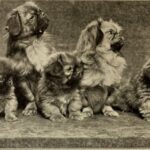 Миниатюра к 