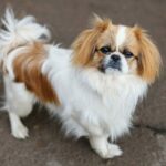 Миниатюра к 