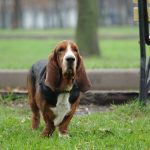 Миниатюра к 