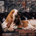 Миниатюра к 