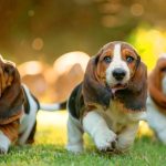 Миниатюра к 