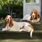 Миниатюра к 