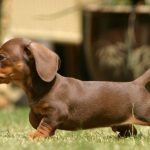 Миниатюра к