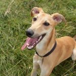 Миниатюра к