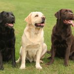 Миниатюра к 